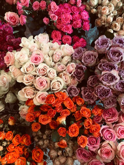 A vibrant display of fresh roses arranged in clusters, featuring colors such as soft pink, creamy white, lavender, and bright orange. The roses vary in size, with some fully bloomed showing delicate,